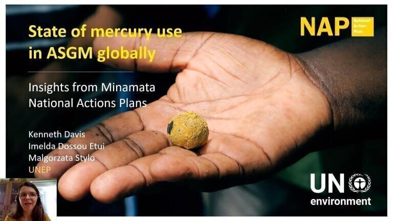 State of mercury use in ASGM globally (part of the synthesis paper on ASGM)